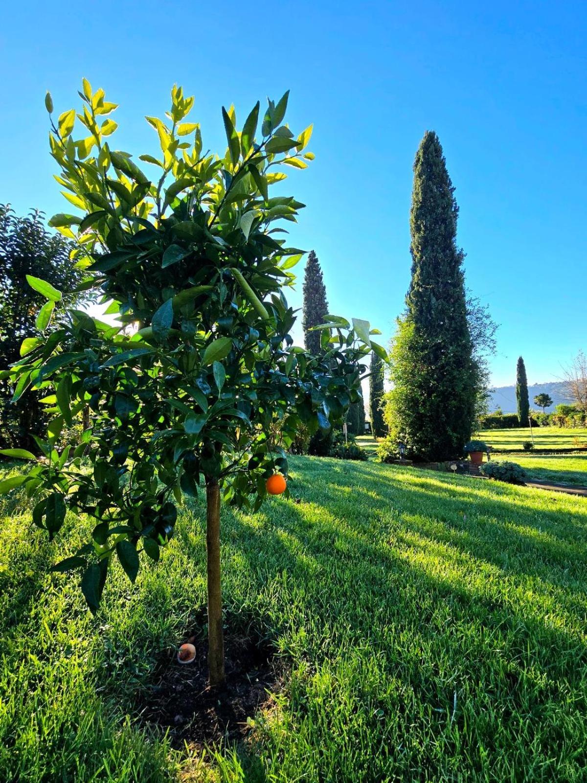 Agriturismo Le Grotte Nemi Eksteriør bilde